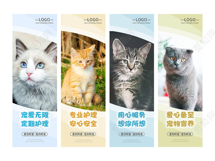 多色淡雅舒适风格猫咪挂画宠物寄养宠物萌宠挂图套图