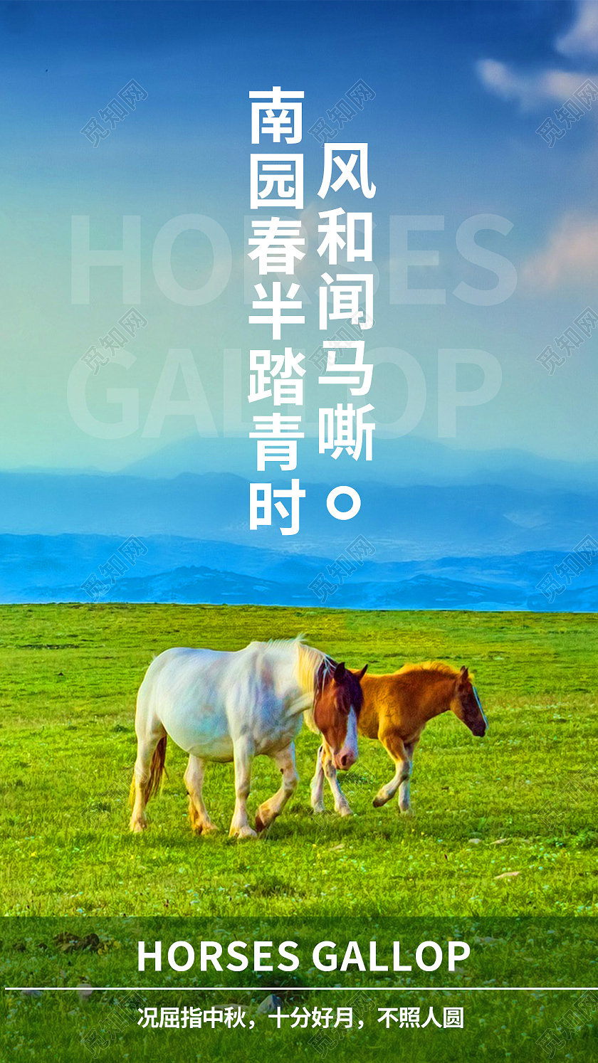 蓝色实拍南园春半踏青时蓝天白云骏马旅游摄影海报