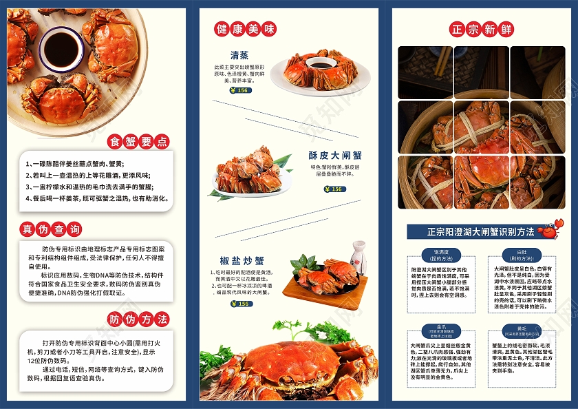 蓝色阳澄湖大闸蟹促销宣传三折页螃蟹三折页大闸蟹折页