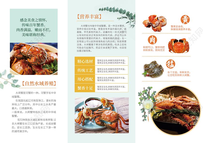 橙色精致大闸蟹促销宣传三折页螃蟹三折页大闸蟹折页