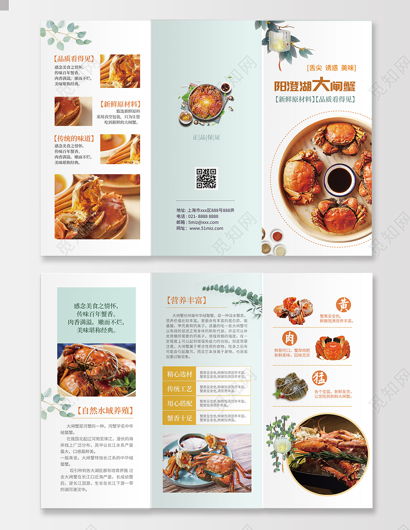 橙色精致大闸蟹促销宣传三折页螃蟹三折页大闸蟹折页