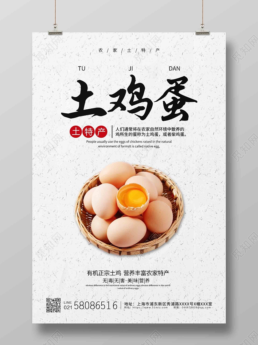 白色淡色卡通创意简约土鸡蛋海报鸡蛋