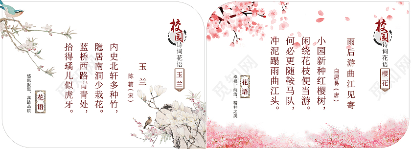 白色简约风诗歌花语玉兰樱花卡片唐诗