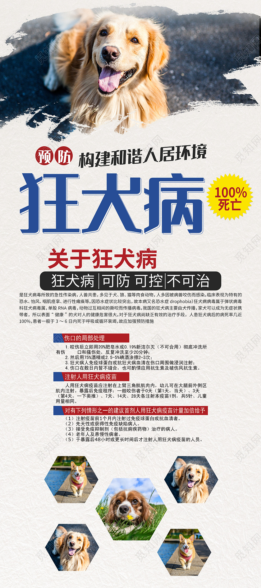 白色简约风预防狂犬病构建和谐人居环境手机海报世界狂犬病日海报