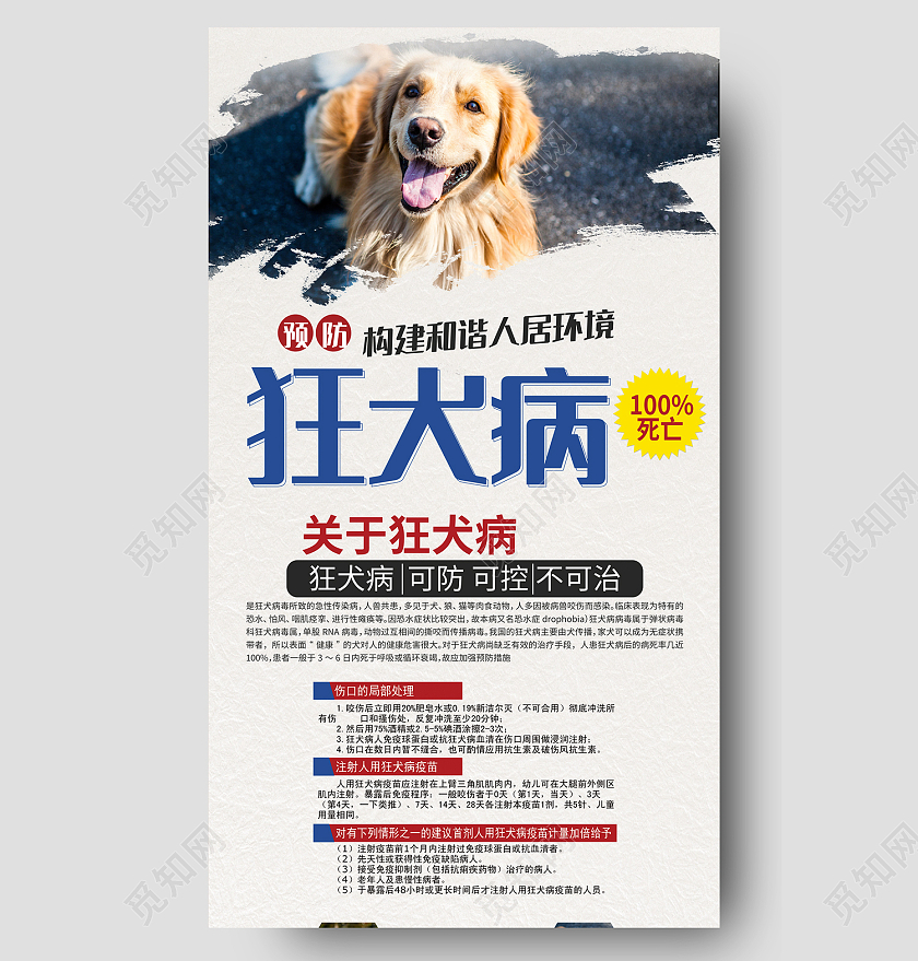 白色简约风预防狂犬病构建和谐人居环境手机海报世界狂犬病日海报