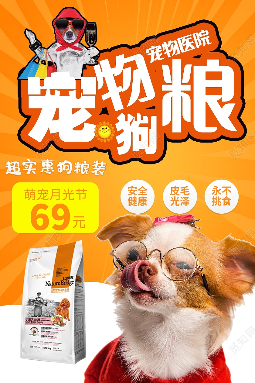 简约大气橘色宠物狗粮宠物粮食海报海报