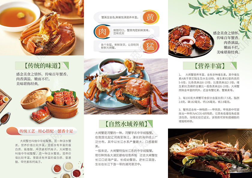 绿色清新简约大闸蟹促销宣传三折页螃蟹折页大闸蟹折页