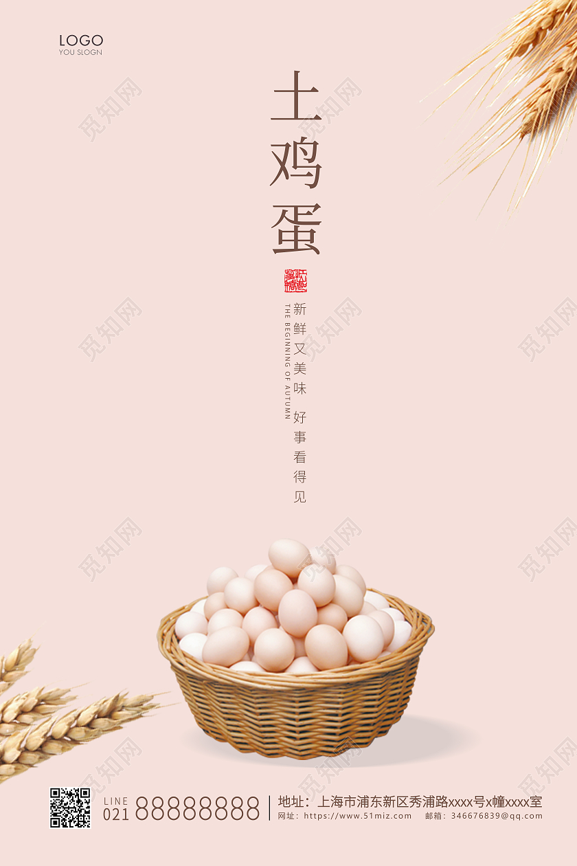 鸡蛋土鸡蛋农家散养五谷鸡蛋林下养殖