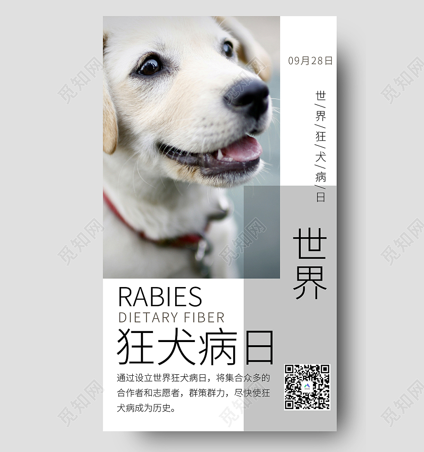 白色简约风世界狂犬病日九月二十八手机海报世界狂犬病日手机海报