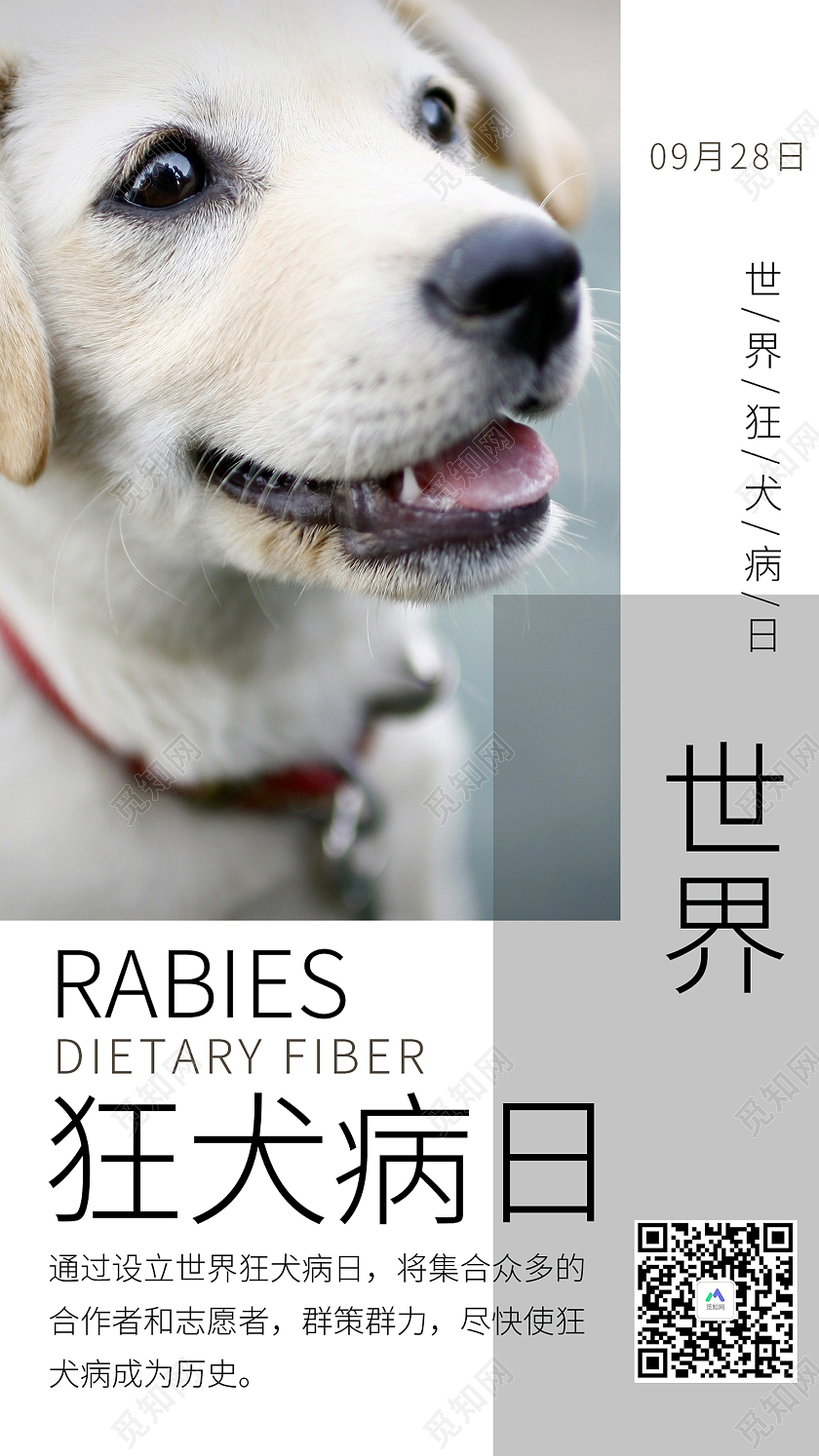白色简约风世界狂犬病日九月二十八手机海报世界狂犬病日手机海报
