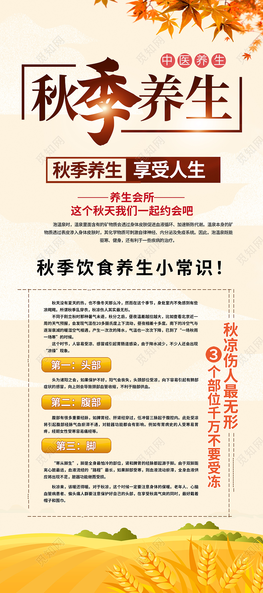 黄色简约秋季养生享受人生秋天展架易拉宝