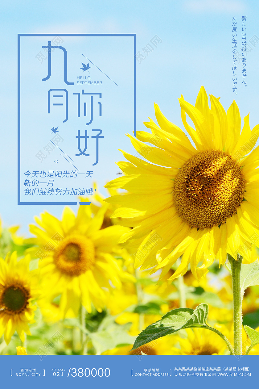 蓝色简约天空小清新向日葵花九月你好海报宣传