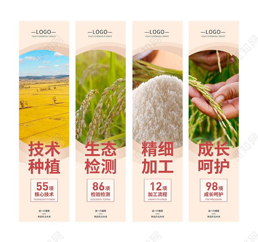 精致风格素雅写实实物数据大米套图