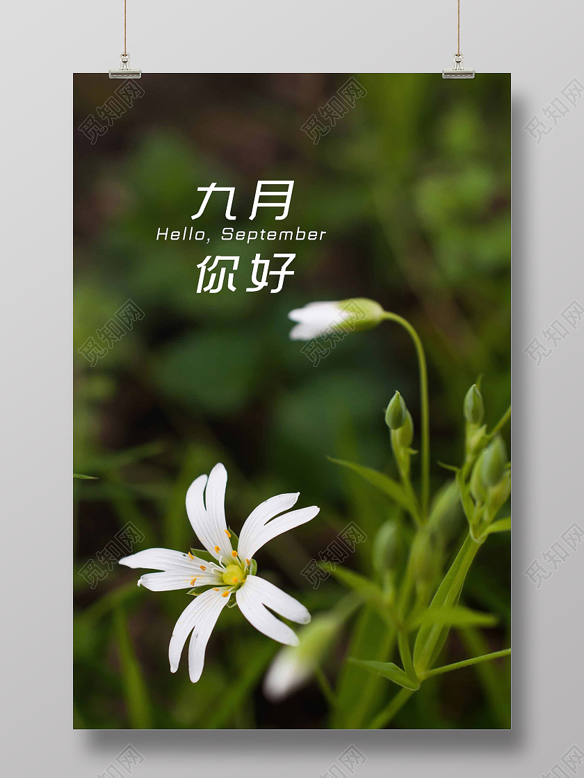 简约大气唯美绿色你好9月九月你好海报