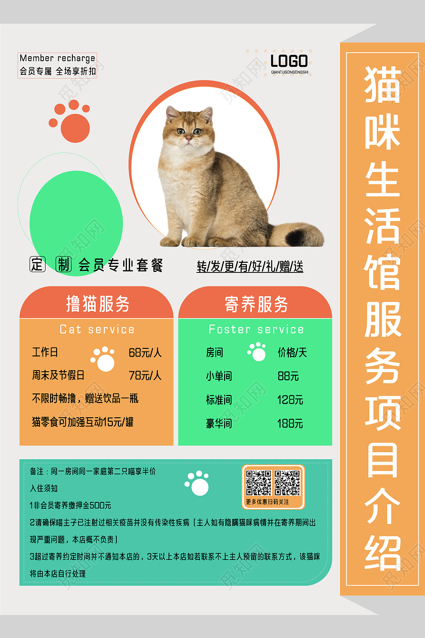 彩色简约风猫咪生活馆服务项目海报项目介绍海报