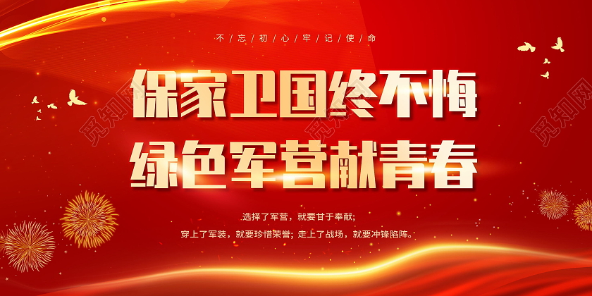 红色大气保家卫国终不悔绿色军营献青春展板部队