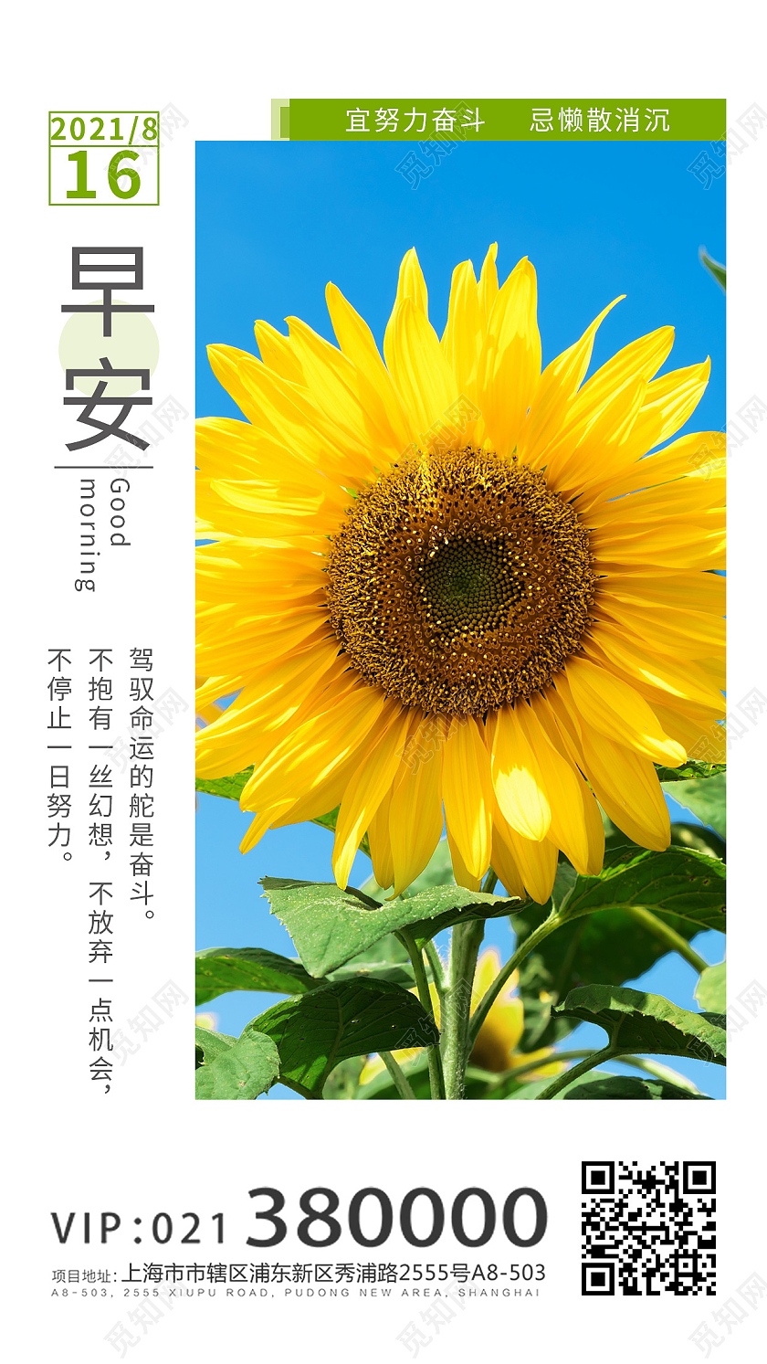 蓝色简约天空小清新向日葵花每日签到UI手机海报早安你好小清新向日葵心语心情正能量日签