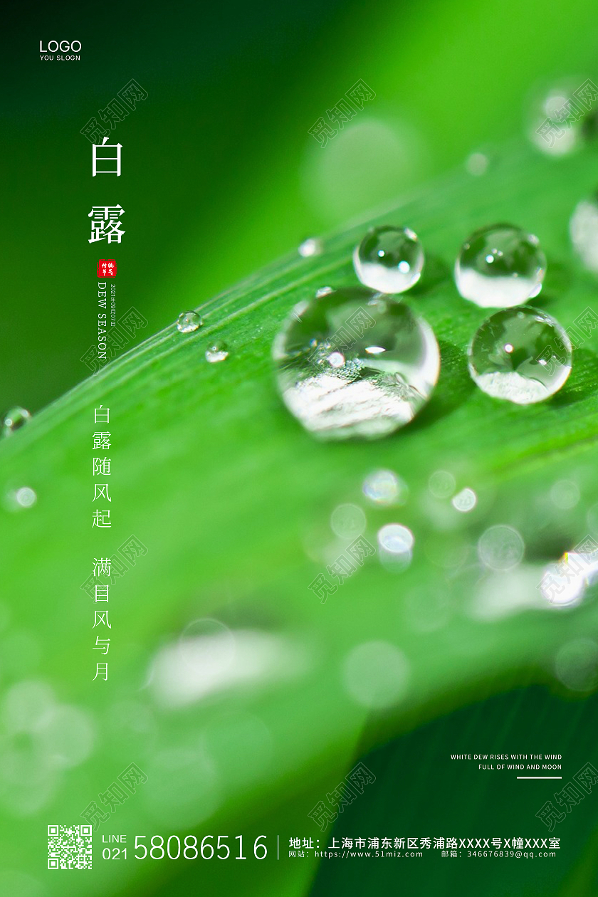 绿色简约大气实拍水珠二十四节气白露宣传海报