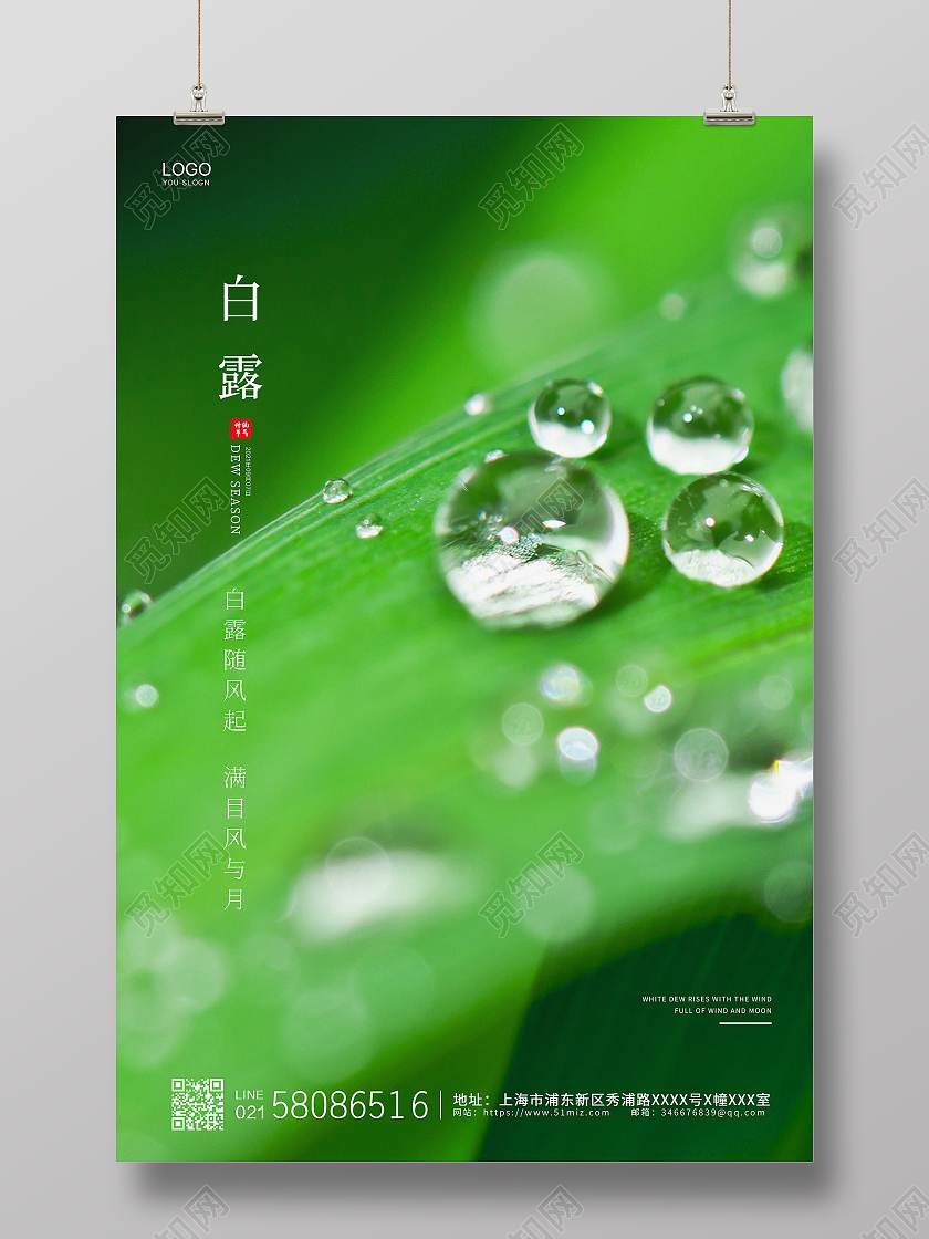 绿色简约大气实拍水珠二十四节气白露宣传海报
