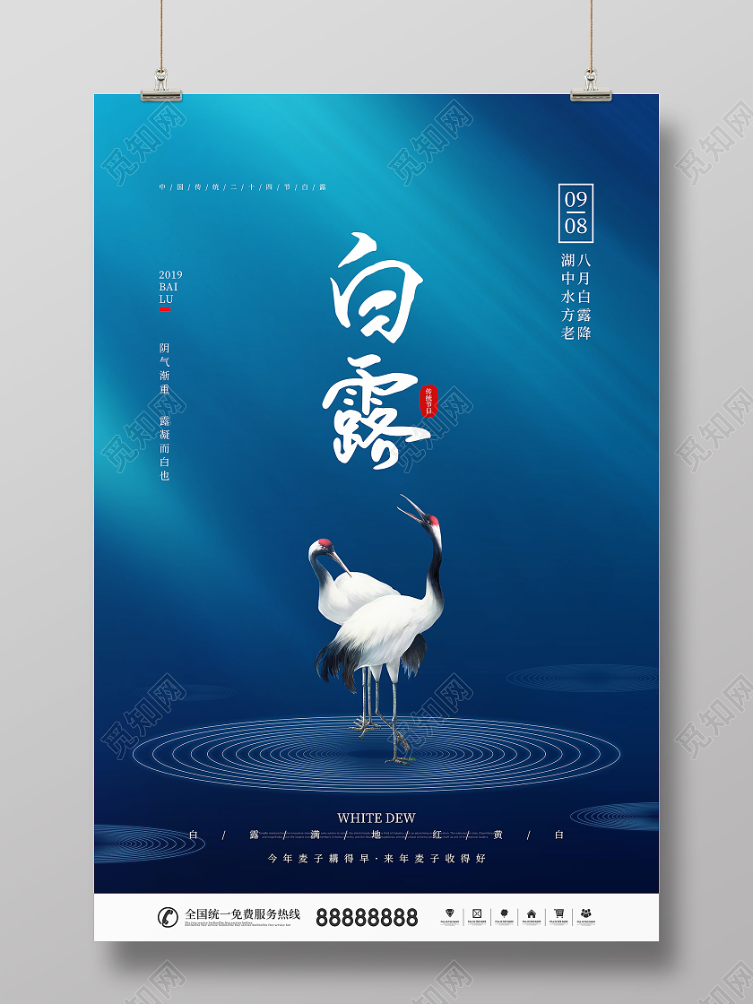 简约风二十四节气白露节日宣传海报