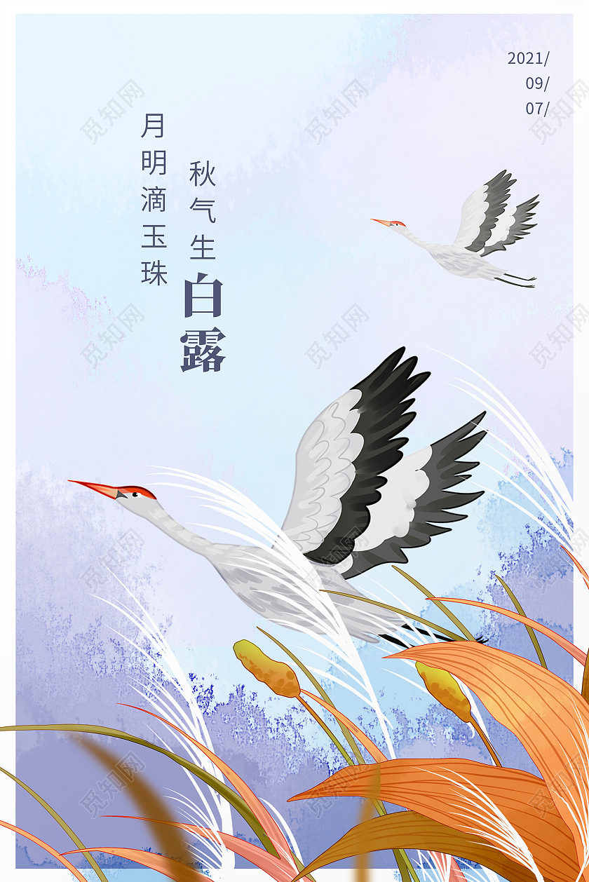 蓝色插画传统二十四节气白露宣传海报设计