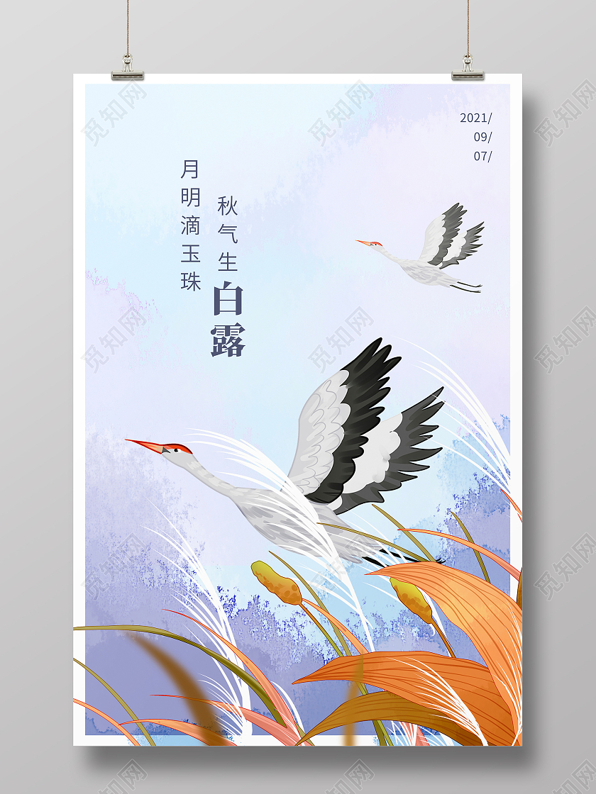 蓝色插画传统二十四节气白露宣传海报设计