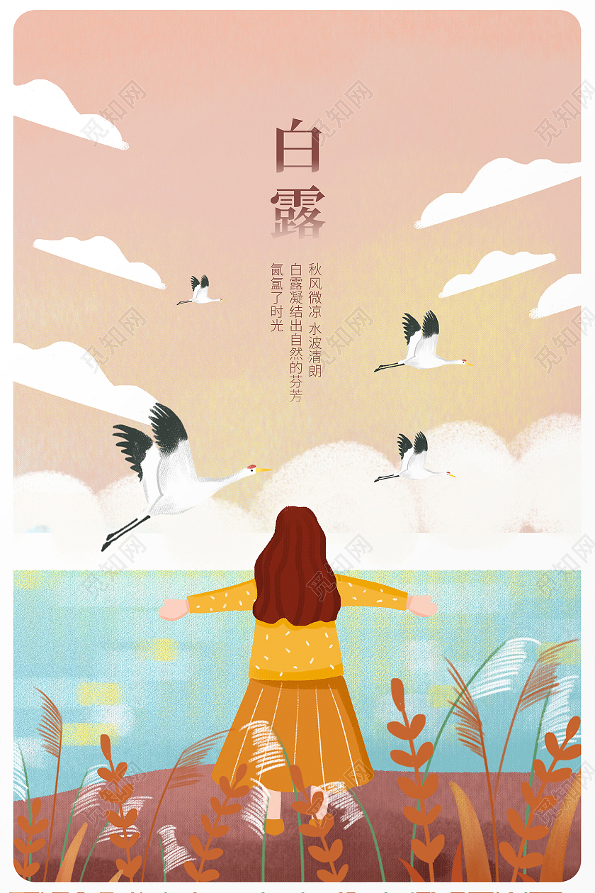 黄色插画传统二十四节气白露宣传海报设计