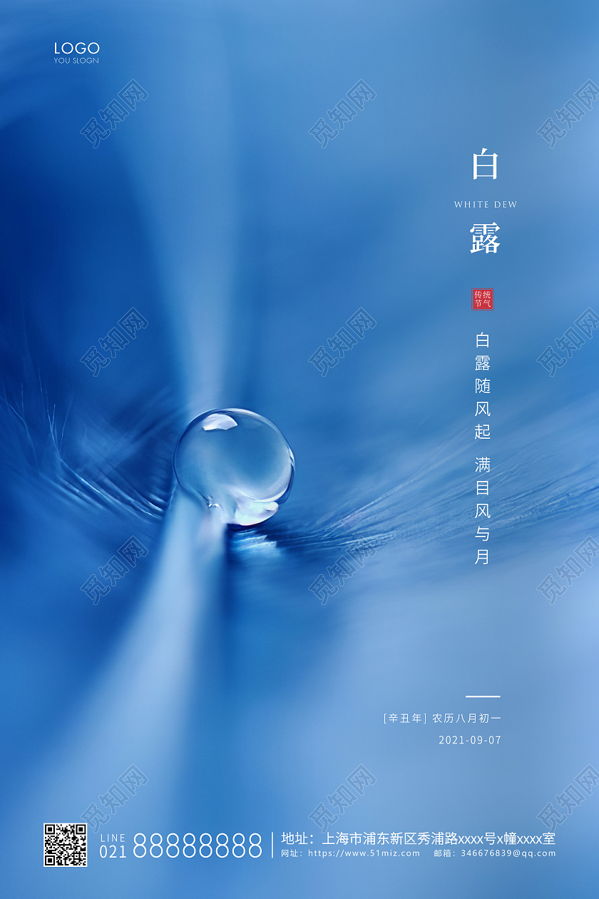蓝色简约二十四节气白露节气宣传海报