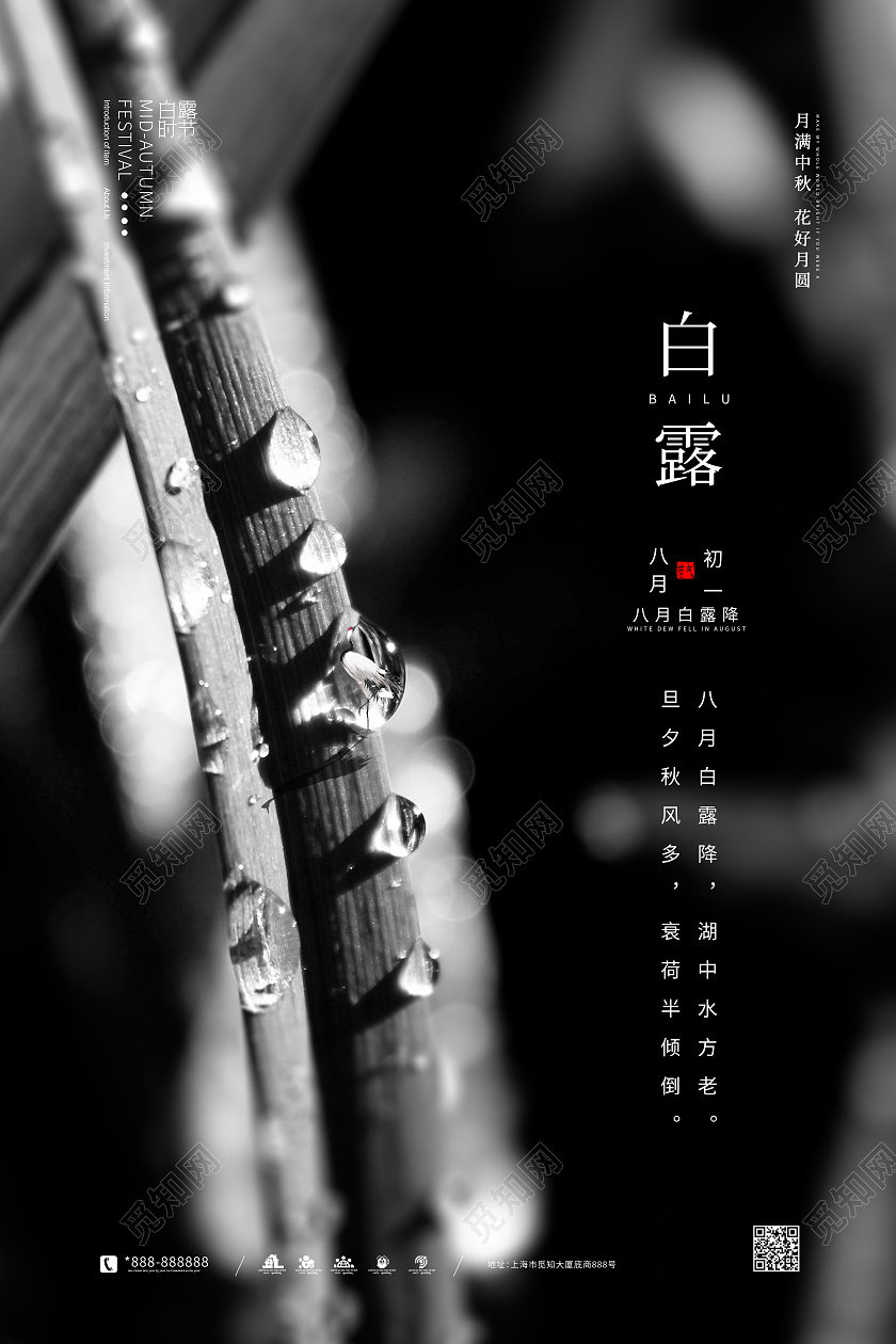 黑色大气简约二十四节气白露节气艺术海报