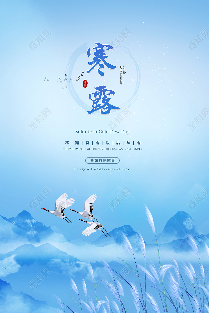 蓝色手绘芦苇白鹭寒露节气宣传海报