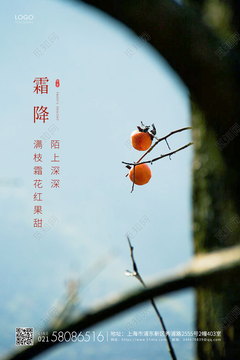 简约24节气二十四节气霜降节气宣传海报