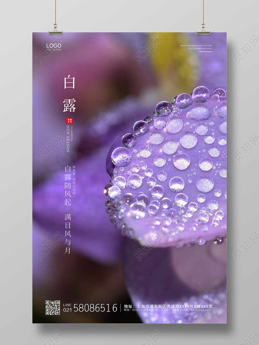 紫色简约大气实拍露水二十四节气白露节气宣传海报