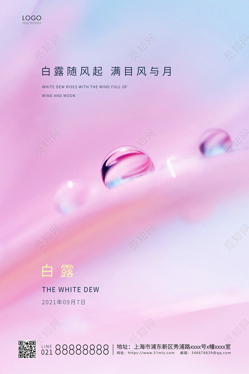 粉色简约二十四节气白露节气宣传海报