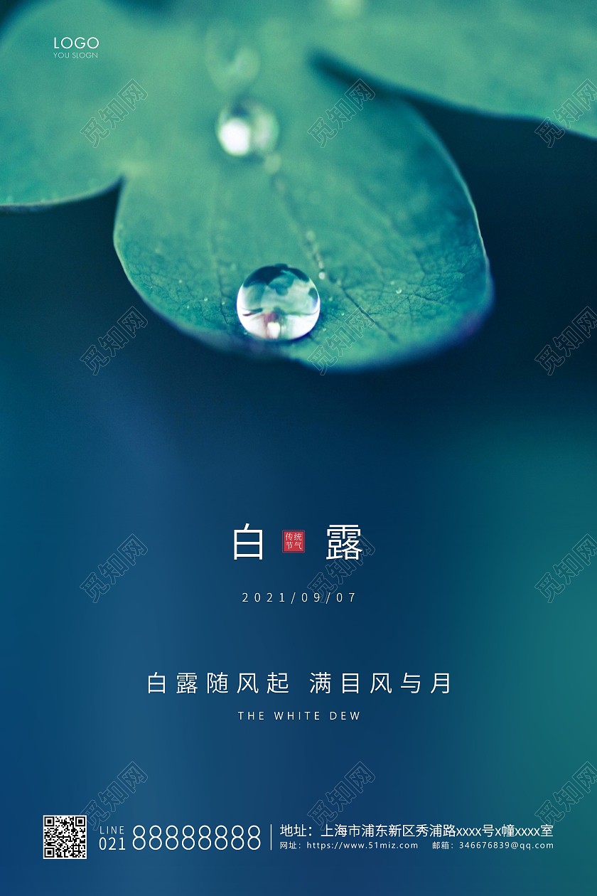 绿色简约二十四节气白露节气宣传海报