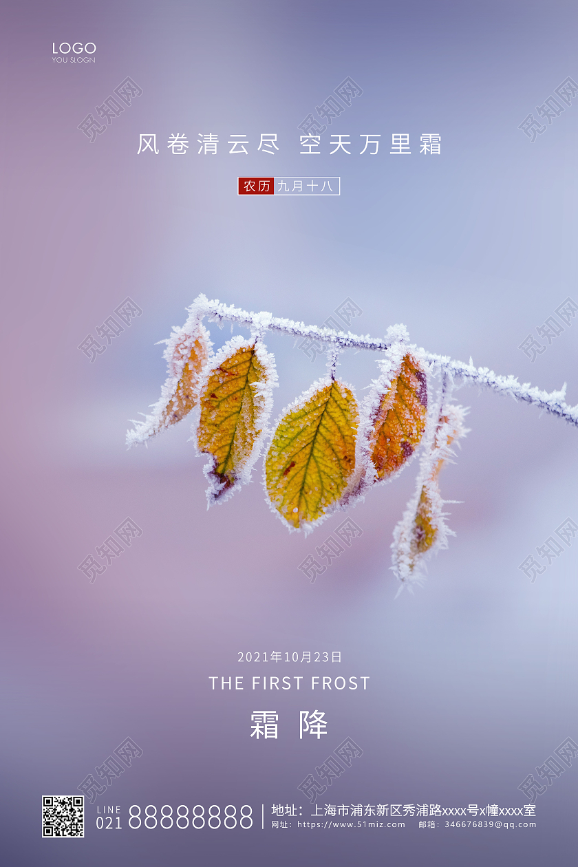 紫色简约二十四节气霜降节气宣传海报