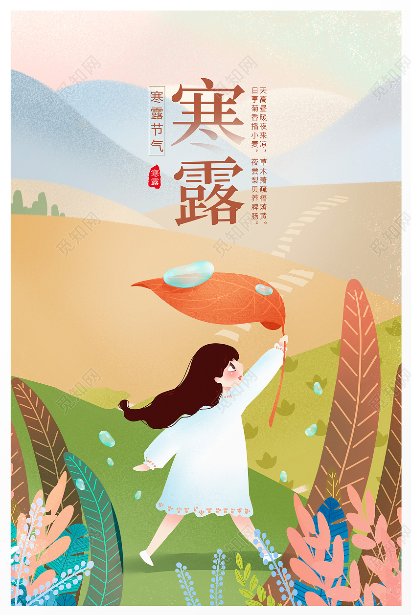 插画唯美传统二十四节气寒露海报设计