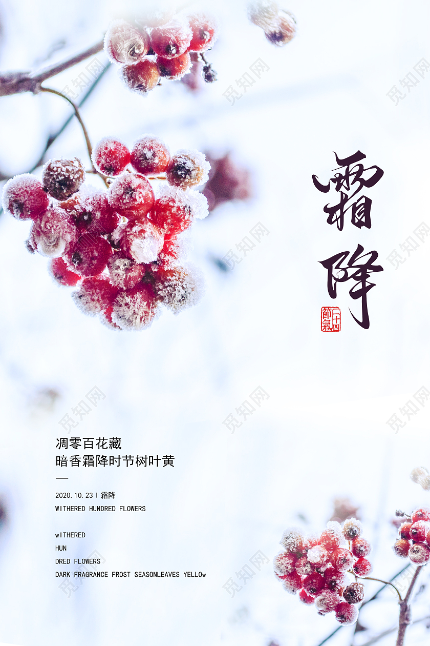 浅紫色清新二十四节气24节气霜降海报