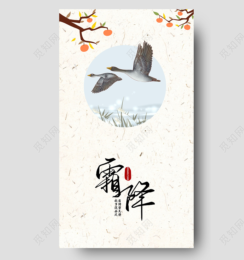 浅色简约插画二十四节气霜降手机海报