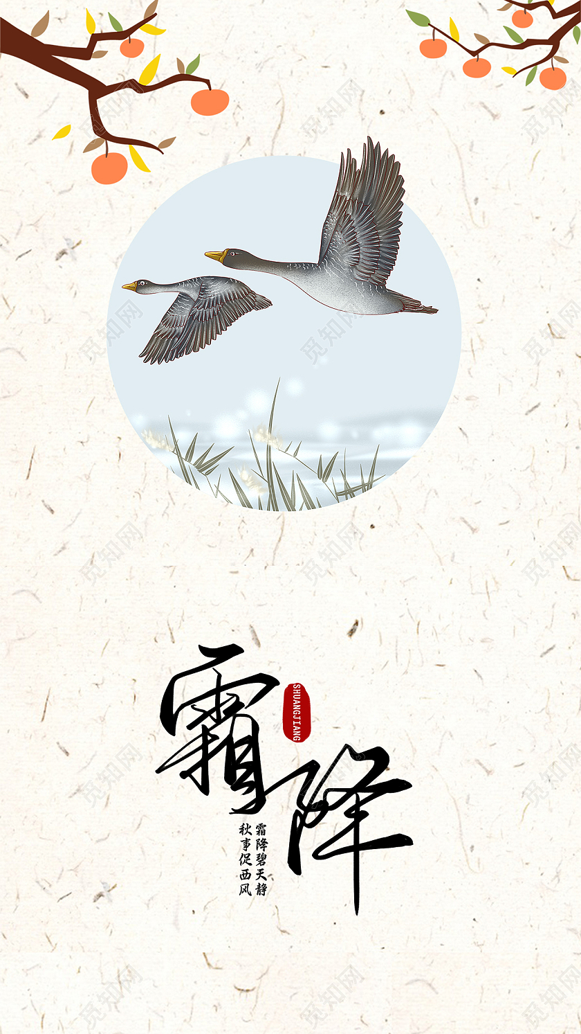 浅色简约插画二十四节气霜降手机海报