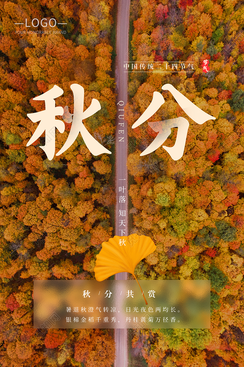 简约秋分节气节日海报平分秋色创意海报二十四节气24节气秋分