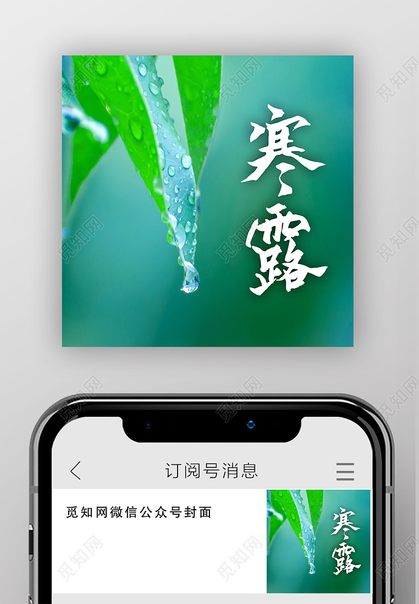 绿色简约寒露二十四节气寒露次图