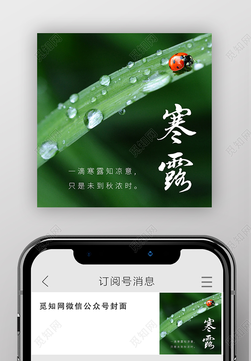 绿色小清新中国传统二十四节气寒露微信寒露次图