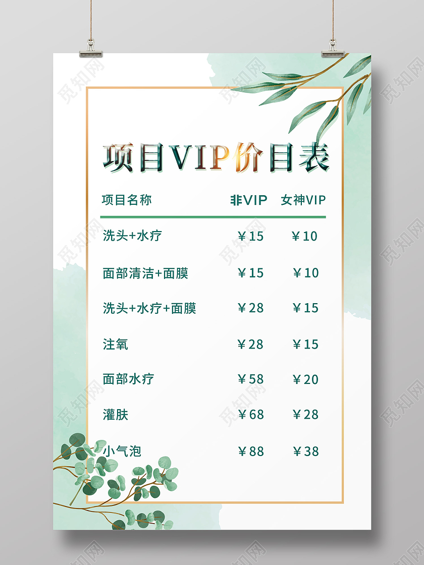 绿色简约风项目VIP价目表护肤海报护肤价格表