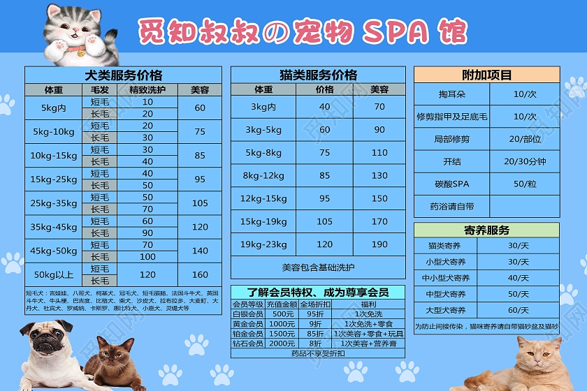 蓝色卡通宠物SPA馆宠物店价格表