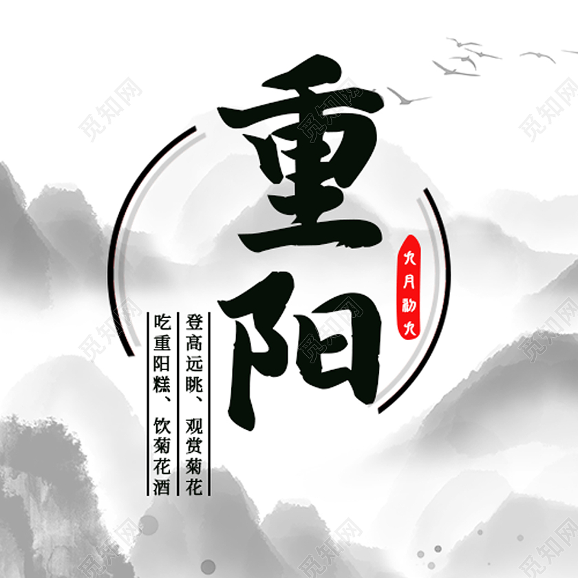 白色水墨风重阳传统节日重阳节公众号次图