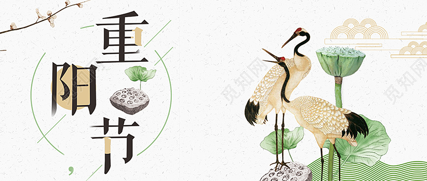 白色简约重阳节传统节日重阳节公众号首图