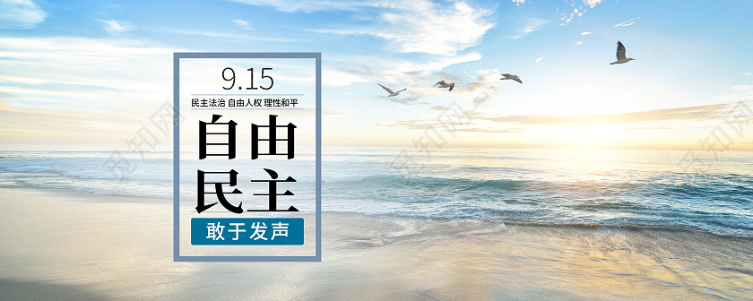 蓝色简约自由民主国际民主日手机海报首图