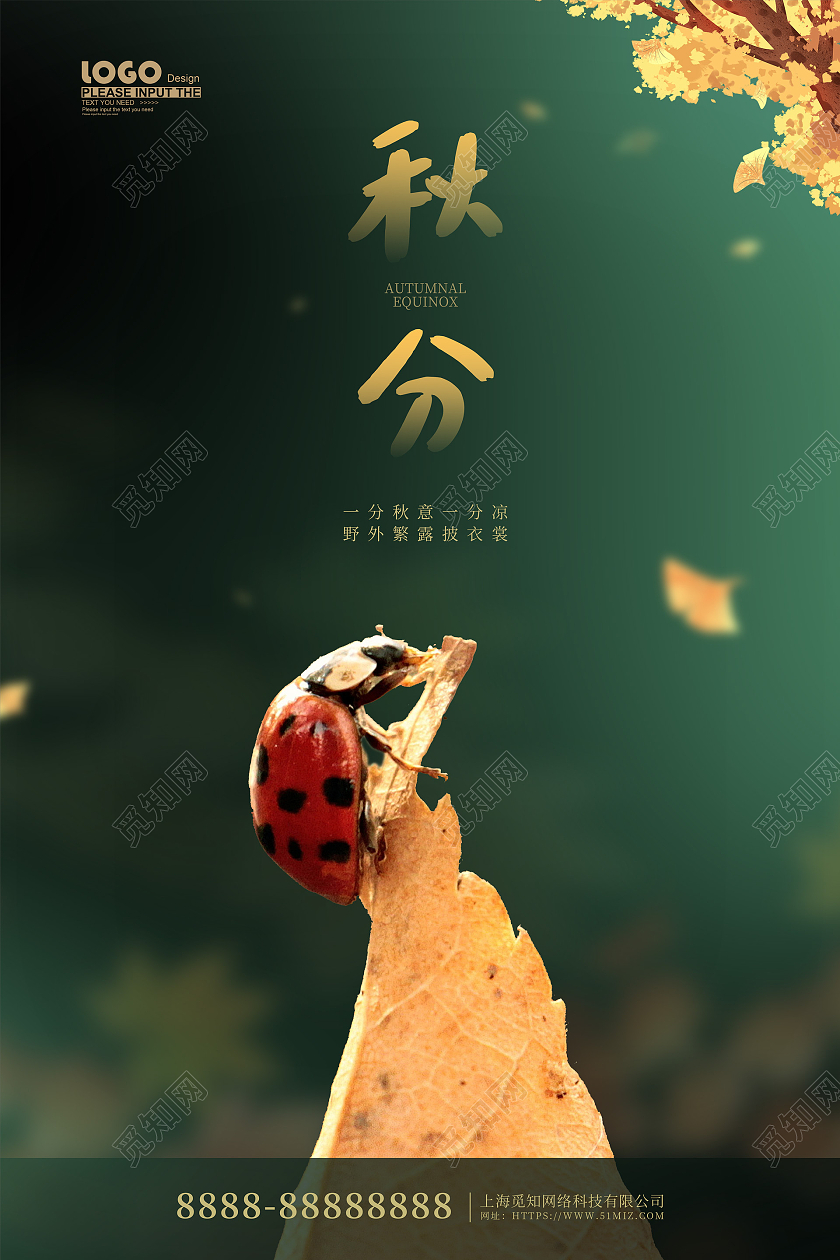 绿色摄影风传统节气秋分宣传海报二十四节气24节气秋分