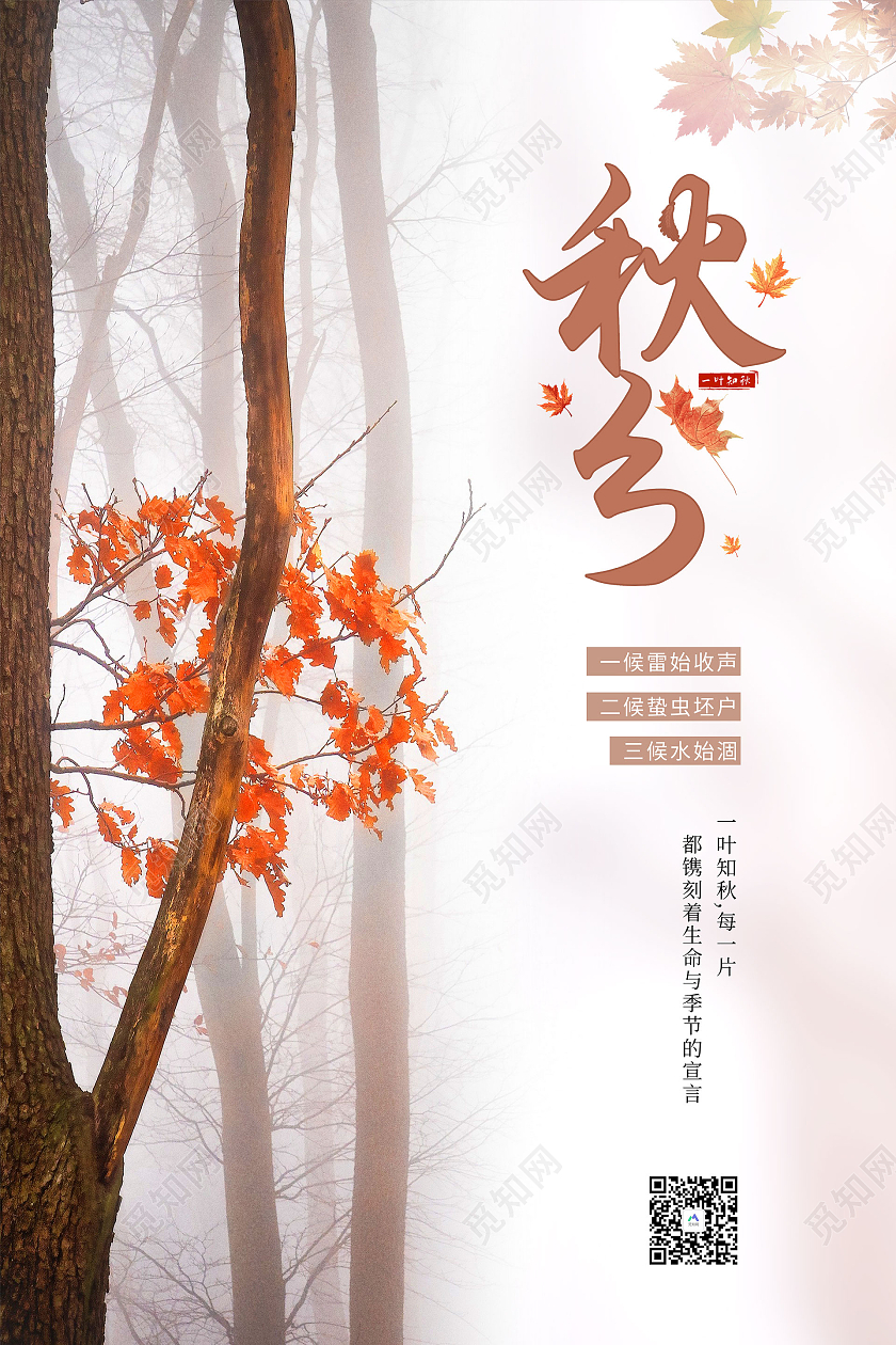 创意摄影风传统节气秋分宣传海报二十四节气24节气秋分