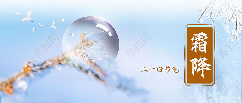 小清新蓝色背景二十四节气霜降微信公众号霜降公众号